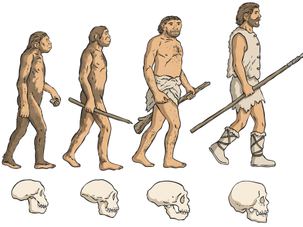 Understanding Human Evolution